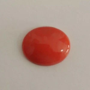 Cabujones de coral rojo natural REDONDOS, 11 quilates mezclados, anillos, colgantes, broches. - Imagen 1 de 8