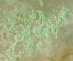 AGARDITA-(Ce) de la mina Clara, Alemania * MINERAL RARO * 4,7 cm - Imagen 1 de 6