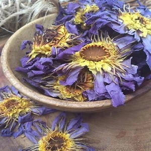 Blue Lotus Nymphaea Caerulea Dried whole Flower Organic Bulk within week - Picture 1 of 7