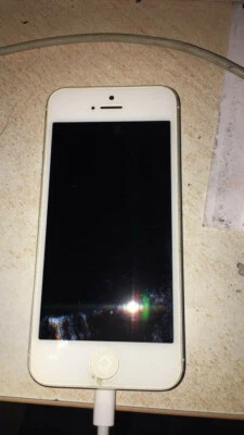 Apple iPhone 5s - 16GB - Argento (Sbloccato) - Immagine 1 di 2