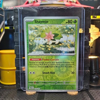Shaymin Destined Rivals Reverse Holo Pokémon TCG 010/182 Scarlet & Violet - Image 1 of 4