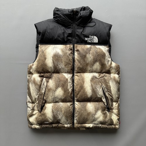 gilet pelliccia supreme x the north face