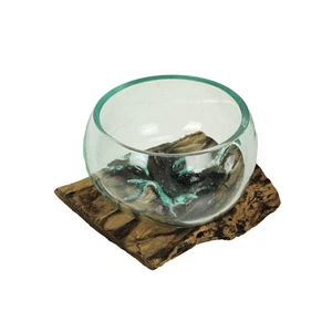 Medium Wide Molten Glass on Teak Driftwood Sculptural Vase and Bowl - Picture 1 of 8