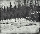 Vår Vinter Winterlandschaft Schweden - Radierung - Curt Hamne *1943