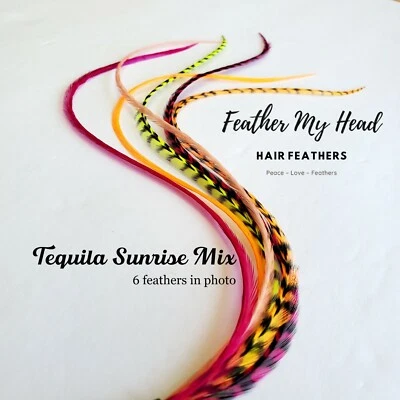 Feather Hair Extensions, 6 Pc, Optional Kit, Short - Mega Long, Tequila Sunrise - Image 1 of 4