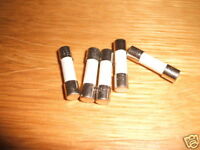 Slow Blow Fuse Time Delay Fuses All values 63mA 20 Amp 250V 20mm x 5mm UK