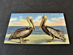 Ma and Pa Pelican. Which is which? - Linen 1940s Unposted Postcard. - Imagen 1 de 2