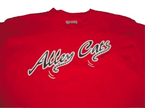 New Spartanburg Alley Cats Minor Baseball Team Red T-Shirt Boys Large 12-14 - Picture 1 of 3