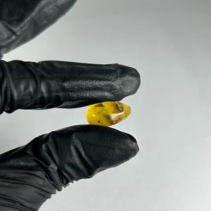 NATURAL MEXICAN PERFORATED PEAR AMBER CABOCHON 3.5 Cts/ 0.7 grams. REAL AMBER - Picture 1 of 10