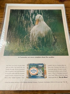 Vintage 1966 Olympia Beer Duck In Rain Tumwater, Washington ad - Picture 1 of 1