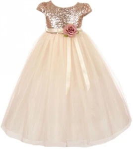 Little Girls Sleeveless Shiny Tulle Bridesmaid Party Birthday Flower Girl Dress - Picture 1 of 4