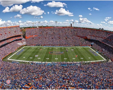 Florida Gators Unsigned Ben Hill Griffin Stadium 11" x 14" Photo - Fanatics Cover