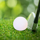 16 Pcs Hollow Holeless Golf Compact Practicing Golfing Flight Doll House