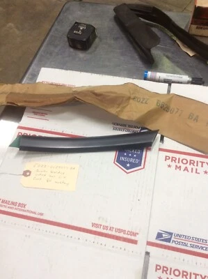 Ford Mustang 1980 cuarto moldura inferior izquierda delantera nos Foto 1 de 4