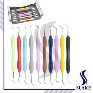 Juego de 10 instrumentos de llenado de compuestos dentales mango de silicona y casete - Imagen 1 de 1