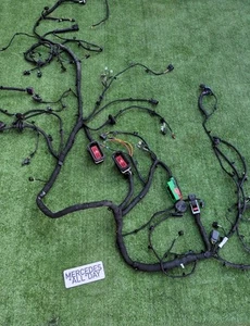 Genuine Aston Martin DBX 2020+ Forward i6 AM8 RHD Complete Wiring Loom Harness - Picture 1 of 16