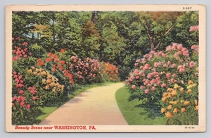 Beauty Scene Washington Pennsylvania Postcard - Picture 1 of 2