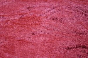 Cannon Velvet Plush Throw Blanket 50 x 60 in Red - Picture 1 of 1