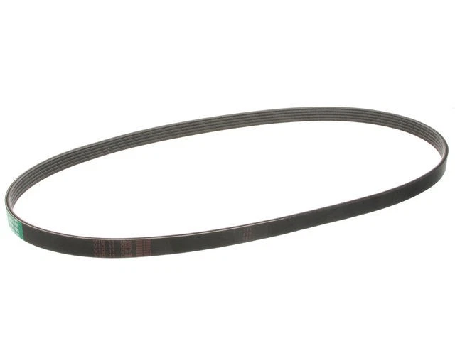 Cinturón principal multi costilla para Audi S4 2004-2009 2008 2007 2005 2006 JS376FM Foto 1 de 1