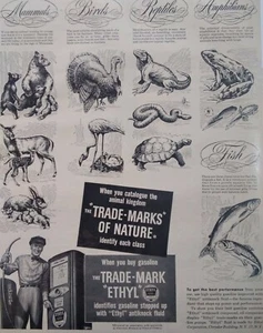Ethyl Gas Print Ad Original Rare Vtg 1940s NYC Antiknock Nature Animals  - Picture 1 of 10