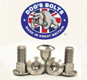 Suzuki GSX1250FA 10-15 Stainless Steel Rear Brake Disc Bolt Kit - Picture 1 of 1