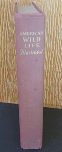 1952 Book American WildLife Illustrated by Wm H Wise Vintage Books - Picture 1 of 16