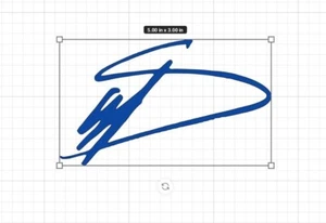 Stefon Diggs Buffalo Bills Facsimile Sig. Autograph Vinyl Sticker Bills Mafia - Picture 1 of 5