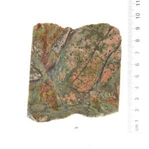 Maligano Jasper Green 3 x 406g Slab Pack, Cabbing, Lapidary, Rough Rock - Picture 1 of 3