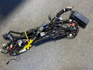 NEW OEM 2012 - 2015 TESLA MODEL S FRONT LEFT BODY WIRING HARNESS 1009096-01-H - Bild 1 von 5
