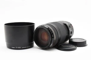 Canon EF 70-300mm F4-5.6 IS USM Zoom Lens With Caps From Japan Near MINT - Picture 1 of 12