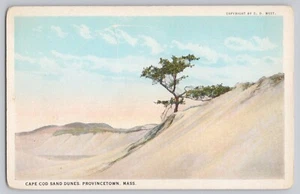 Merluzzo del Capo e Dune di Sabbia - Massa della Città di Provincia vecchia cartolina - Foto 1 di 2