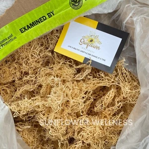 3lb St Lucia Gold Sea Moss - 100% Natural Wild Harvested Dr Sebi Irish Moss - Picture 1 of 7