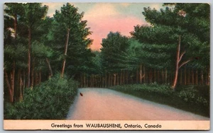 Postcard c1930s Greetings From Waubaushene Ontario Scenic Simcoe County - Bild 1 von 2