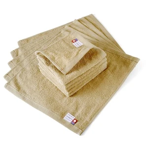 Soft Imabari Hand Towels Set of 10– Quick Dry, Gentle on Skin,100% Cotton(Beige) - Picture 1 of 9