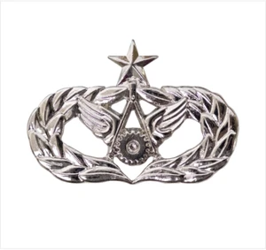 GENUINE U.S. AIR FORCE BADGE: CIVIL ENGINEER: SENIOR - MIDSIZE - Picture 1 of 3
