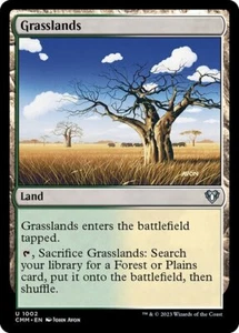 MTG GRASSLANDS 1002 EXC - PRATERIA EQUATORIALE - CMM X EN - MAGIC - Picture 1 of 1
