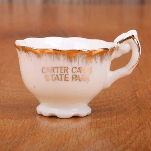 Tazza da tè in miniatura Carter Caves State Park Kentucky tazza souvenir tazza - Foto 1 di 4