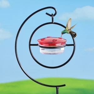 5 oz. Hummingbird Feeder w/ Black Metal Scroll Garden Stake - Picture 1 of 2