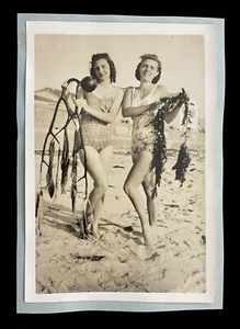 CALIFORNIA SEETANG MÄDCHEN BADEN SCHÖNHEITEN POSIEREN AM STRAND MIT GROSSEN ALGEN - Bild 1 von 2