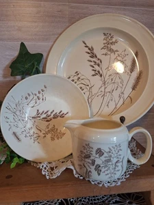 Vintage J&G Meakin Ironstone Windswept Geschirrset, Herbstdekor, braun Transferware, - Bild 1 von 12