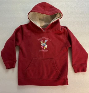 Disney Minnie Mouse Daisy Duck Hooded Sweatshirt Hanging With My BFF’s NH - Picture 1 of 7