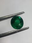 Grenat Tsavorite (Si) Aaa Color Vert Vif 1,07Ct Kenya Garnet Fmg Gemstones