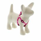 Lupine Puppy Love Collar, Harness, or Leash