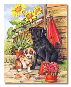 Zwei Welpen Hunde beobachten Frosch springen nach dem Regen Wandbild 8x10 Kunstdruck - Bild 1 von 1