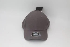 Brain Waves Fitted Cap Kappe Mütze Top Passform L/XL Classic Line Grau Neu - Bild 1 von 4