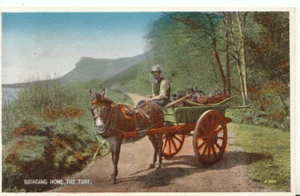 Occupations Postcard - Bringing Home The Turf - Ref 7670A - Picture 1 of 2