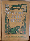 Wonder Little Lives By Julia Augusta Schwartz 1909 Hardcover Illustrated Atwood