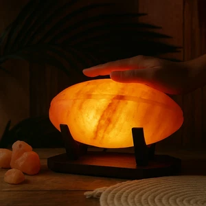 Himalayan Salt Detox Lamp for Foot & Hand Therapy, Air Purifier Night Light - Picture 1 of 12