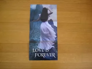 FALLEN BOOKS Poster by Lauren Kate 9" x 19" - Picture 1 of 4