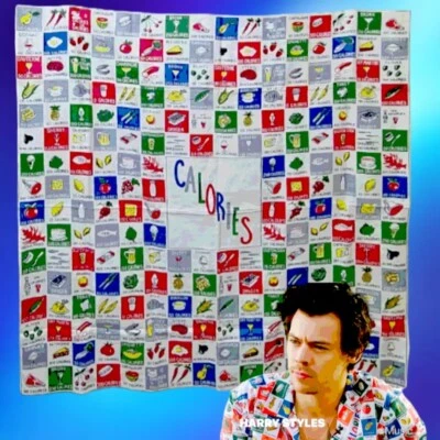 Tapiz estampado de calorías 1952 vintage raro - similar a la camisa usada por Harry Styles Foto 1 de 4